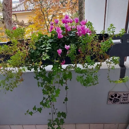 La Pineta - Delightful Small Near The Center Apartment